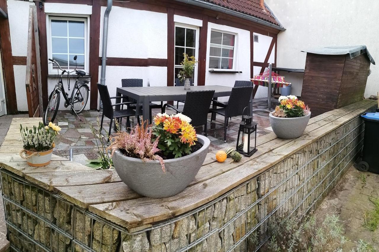 Schoene Grosse Wohnung, Terrasse, Kamin, Parkplatz, 2 Schlafzimmer Грайфсвальд Экстерьер фото
